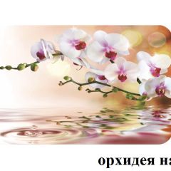 БОСТОН - 2 опоры Брифинг в Краснокамске - krasnokamsk.mebel24.online | фото 4