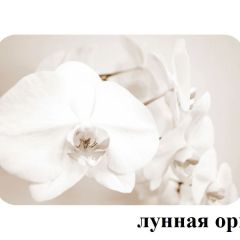 БОСТОН - 2 опоры Триумф в Краснокамске - krasnokamsk.mebel24.online | фото 18