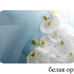 БОСТОН опоры Триумф в Краснокамске - krasnokamsk.mebel24.online | фото 13