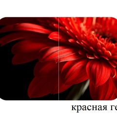 БОСТОН опоры Триумф в Краснокамске - krasnokamsk.mebel24.online | фото 27