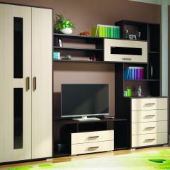 Гостиная ЕВРОПА-1 (Венге/Дуб молочный) в Краснокамске - krasnokamsk.mebel24.online | фото
