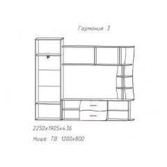 Гостиная ГАРМОНИЯ-3 (ЦРК.ГРМ.03) в Краснокамске - krasnokamsk.mebel24.online | фото 2