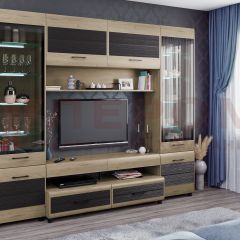 Гостиная Камелия Композиция 11 (Гикори Джексон светлый комбинированный) в Краснокамске - krasnokamsk.mebel24.online | фото