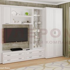 Гостиная Карина Композиция 16 (Снежный ясень) в Краснокамске - krasnokamsk.mebel24.online | фото