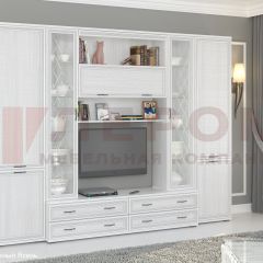 Гостиная Карина Композиция 19 (Снежный ясень) в Краснокамске - krasnokamsk.mebel24.online | фото