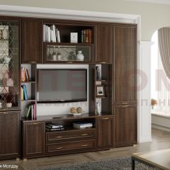 Гостиная Карина Композиция 2 (Акация Молдау) в Краснокамске - krasnokamsk.mebel24.online | фото