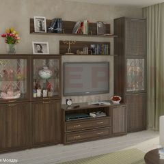 Гостиная Карина Композиция 22 (Акация Молдау) в Краснокамске - krasnokamsk.mebel24.online | фото