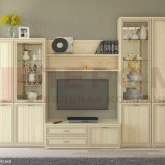 Гостиная Карина Композиция 24 (Ясень Асахи) в Краснокамске - krasnokamsk.mebel24.online | фото
