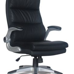 Кресло офисное BRABIX "Fregat EX-510" (рециклированная кожа, черное) 530863 в Краснокамске - krasnokamsk.mebel24.online | фото