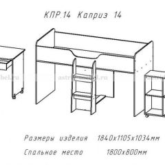 КАПРИЗ-14 Кровать 800 двухъярусная без рисунка в Краснокамске - krasnokamsk.mebel24.online | фото 2