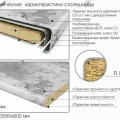 Кухонный фартук со столешницей (А-01) в едином стиле (3050 мм) в Краснокамске - krasnokamsk.mebel24.online | фото 6