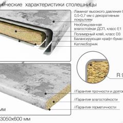 Кухонный фартук со столешницей (А-015) в едином стиле (3050 мм) в Краснокамске - krasnokamsk.mebel24.online | фото 6