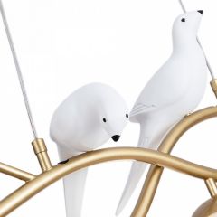 Подвесной светильник Arte Lamp Eltanin A3422SP-4GO в Краснокамске - krasnokamsk.mebel24.online | фото 4