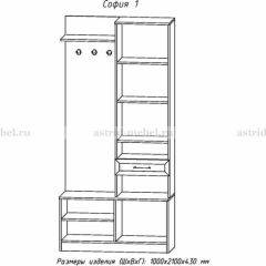 Прихожая София 1 в Краснокамске - krasnokamsk.mebel24.online | фото 3