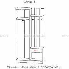 Прихожая София 8 в Краснокамске - krasnokamsk.mebel24.online | фото 2