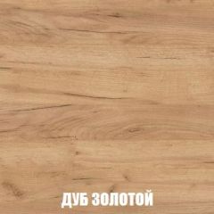 Шкаф 2-х створчатый МСП-1 (Дуб Золотой/Камень темный) в Краснокамске - krasnokamsk.mebel24.online | фото 4