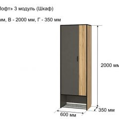 ОЛЬГА-ЛОФТ 3 Шкаф 2-х створчатый в Краснокамске - krasnokamsk.mebel24.online | фото 4