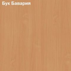 Шкаф для документов с нижними дверями Логика Л-9.3 в Краснокамске - krasnokamsk.mebel24.online | фото 3
