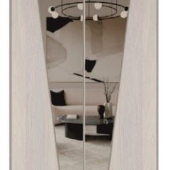 Шкаф-купе 1300 серии SILVER S1+S1+B2+PL2 (2 ящика+1 штанга+1 полка) профиль «Серебро» в Краснокамске - krasnokamsk.mebel24.online | фото 12