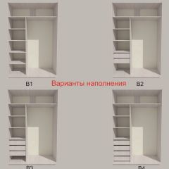 Шкаф-купе 1300 серии SILVER S1+S1+B2+PL2 (2 ящика+1 штанга+1 полка) профиль «Серебро» в Краснокамске - krasnokamsk.mebel24.online | фото 5