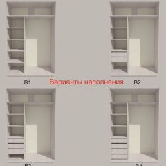 Шкаф-купе 1300 серии SILVER S3+S4+B2+PL4 (2 ящика+F обр.штанга) профиль «Серебро» в Краснокамске - krasnokamsk.mebel24.online | фото 5