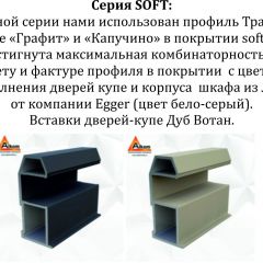 Шкаф-купе 1400 серии SOFT D6+D6+B2+PL3 (2 ящика+2штанги) профиль «Капучино» в Краснокамске - krasnokamsk.mebel24.online | фото 12