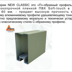 Шкаф-купе 1500 серии NEW CLASSIC K3+K3+B2+PL1 (2 ящика+1 штанга) профиль «Капучино» в Краснокамске - krasnokamsk.mebel24.online | фото 5