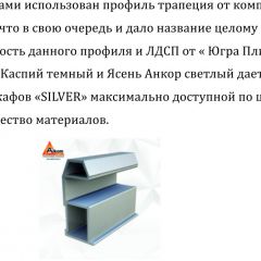 Шкаф-купе 1500 серии SILVER S1+S1+B2+PL2 (2 ящика+1 штанга+1 полка) профиль «Серебро» в Краснокамске - krasnokamsk.mebel24.online | фото 4