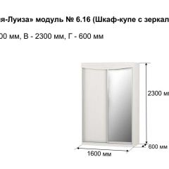 Шкаф-купе 1600 с зеркалом "Мария-Луиза 6.16" в Краснокамске - krasnokamsk.mebel24.online | фото 4