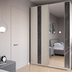 Шкаф-купе 1700 серии SILVER S4+S3Z+B2+PL1 (2 ящика+1 штанга) профиль «Серебро» в Краснокамске - krasnokamsk.mebel24.online | фото