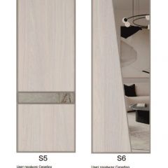 Шкаф-купе 2250 серии SILVER S7+S1+S7Z B22+PL1 (по 2 ящика лев/прав+1штанга) профиль «Серебро» в Краснокамске - krasnokamsk.mebel24.online | фото 14