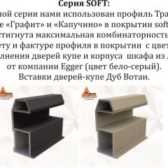 Шкаф-купе 2400 серии SOFT D2+D7+D3+B22+PL2 (по 2 ящика лев/прав+1штанга+1полка) профиль «Графит» в Краснокамске - krasnokamsk.mebel24.online | фото 12
