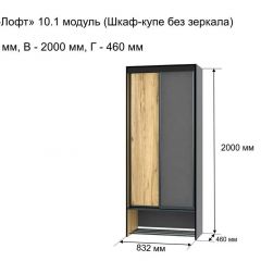 ОЛЬГА-ЛОФТ 10.1 Шкаф-купе без зеркала в Краснокамске - krasnokamsk.mebel24.online | фото 3