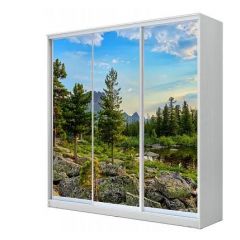 Шкаф-купе ХИТ 23-20/2-777 (620) в Краснокамске - krasnokamsk.mebel24.online | фото