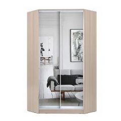 Шкаф-купе ХИТ-У-L-22-64-55 в Краснокамске - krasnokamsk.mebel24.online | фото 8