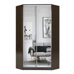 Шкаф-купе ХИТ-У-L-23-64-55 в Краснокамске - krasnokamsk.mebel24.online | фото 1