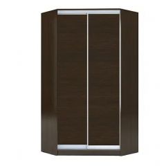 Шкаф-купе ХИТ-У-R-23-64-11 в Краснокамске - krasnokamsk.mebel24.online | фото 1