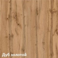 Вуди Шкаф для одежды 13.138 в Краснокамске - krasnokamsk.mebel24.online | фото 4