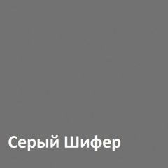 Юнона Шкаф торцевой 13.221 в Краснокамске - krasnokamsk.mebel24.online | фото 2