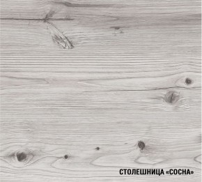 АСАЯ Кухонный гарнитур Экстра (3000 мм) в Краснокамске - krasnokamsk.mebel24.online | фото 8