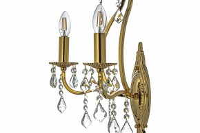 Бра Arti Lampadari Ercolano Ercolano E 2.1.2.602 G в Краснокамске - krasnokamsk.mebel24.online | фото 6