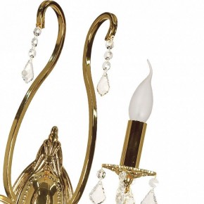 Бра Arti Lampadari Ercolano Ercolano E 2.1.2.602 G в Краснокамске - krasnokamsk.mebel24.online | фото 8