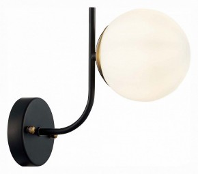 Бра EVOLUCE Ciane SLE1098-401-01 в Краснокамске - krasnokamsk.mebel24.online | фото 3