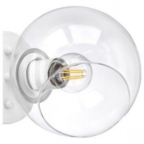Бра Lightstar Beta 785616 в Краснокамске - krasnokamsk.mebel24.online | фото 5