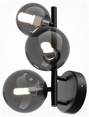 Бра Maytoni Dallas MOD545WL-03B в Краснокамске - krasnokamsk.mebel24.online | фото 2