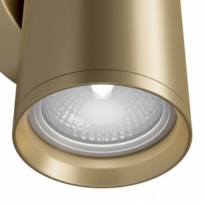 Бра Maytoni Focus S C068WL-02MG в Краснокамске - krasnokamsk.mebel24.online | фото 4