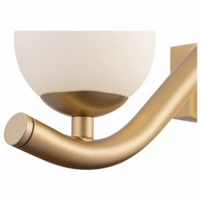 Бра Maytoni Uva MOD059WL-05G в Краснокамске - krasnokamsk.mebel24.online | фото 3