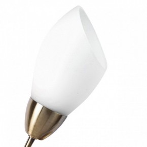 Бра MW-Light Нежность 7 356023001 в Краснокамске - krasnokamsk.mebel24.online | фото 2