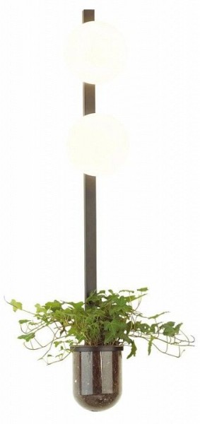 Бра Odeon Light Flower 4681/2WA в Краснокамске - krasnokamsk.mebel24.online | фото 3