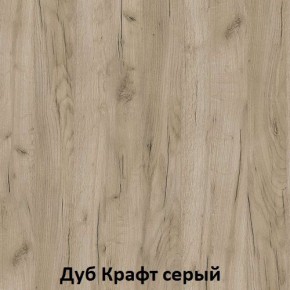 ДАРЬЯ Гостиная (Крафт серый/Крафт белый) модульная в Краснокамске - krasnokamsk.mebel24.online | фото 2